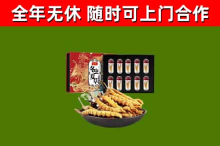 银川回收冬虫夏草价格