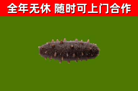 银川烟酒回收干海参.jpg